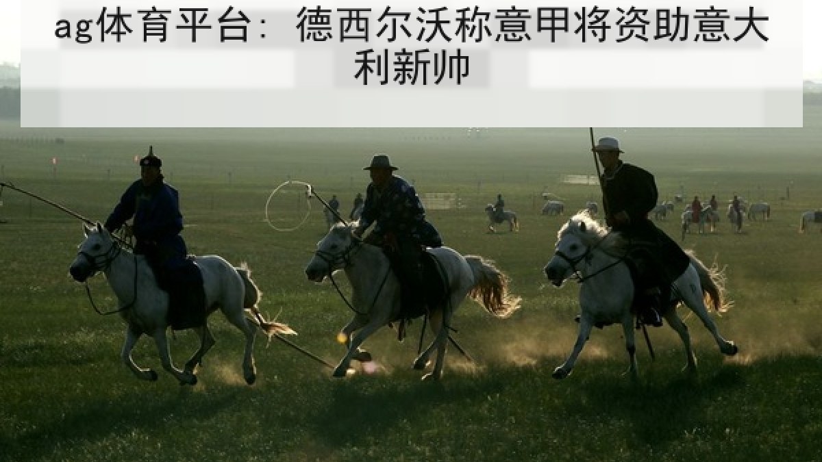 ag体育平台: 德西尔沃称意甲将资助意大利新帅