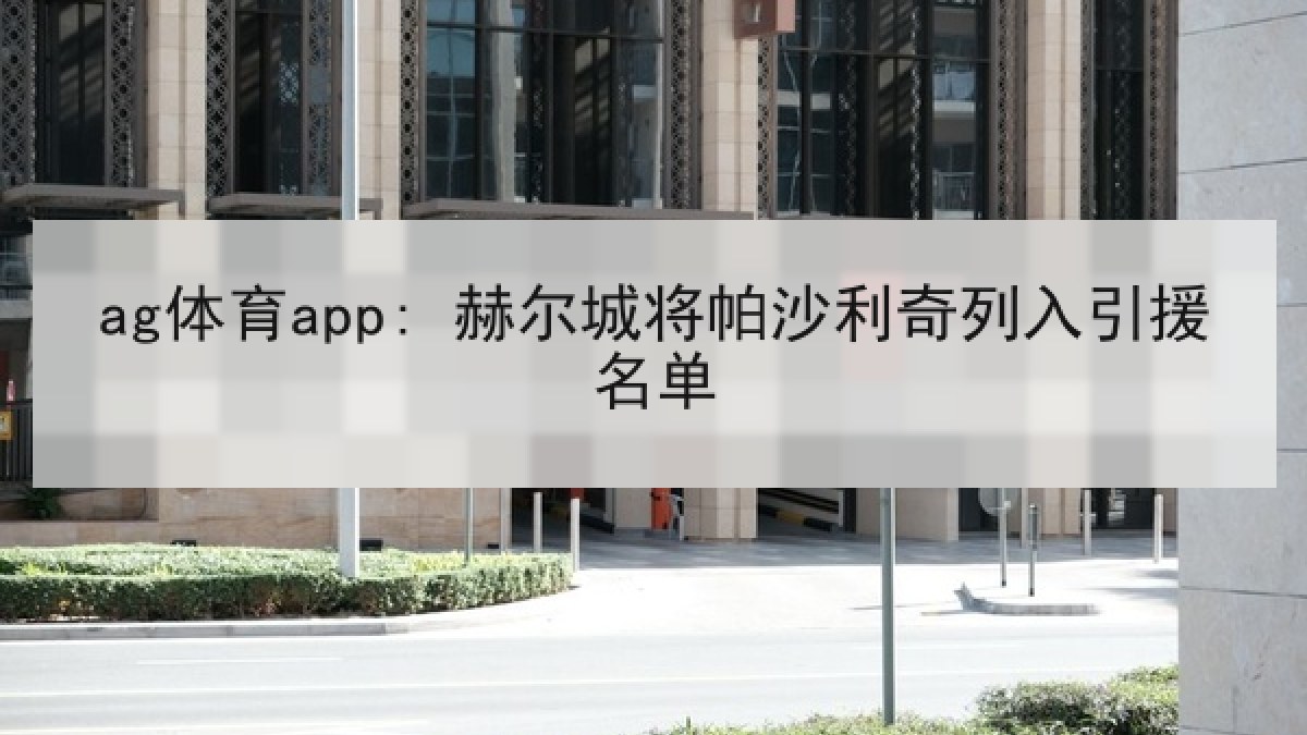 ag体育app: 赫尔城将帕沙利奇列入引援名单