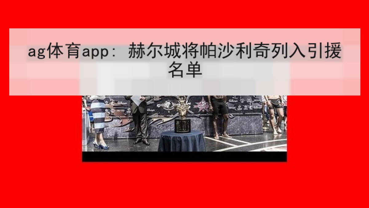 ag体育app: 赫尔城将帕沙利奇列入引援名单
