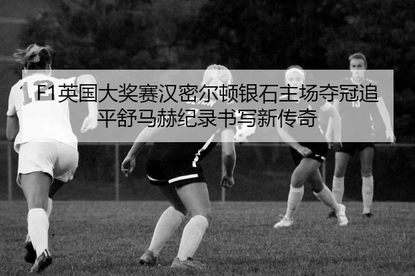 ying-guo-da-jiang-sai-han-mi-er-dun-yin-shi-zhu-chang-duo-guan-zhui-ping-shu-ma-he-ji-lu-shu-xie-xin-chuan-qi-2-514.jpg