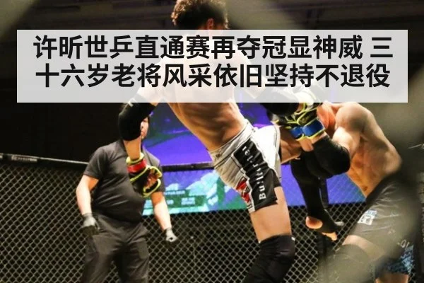 许昕世乒直通赛再夺冠显神威 三十六岁老将风采依旧坚持不退役