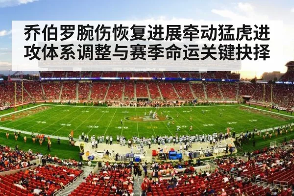 nfl stadium crowd