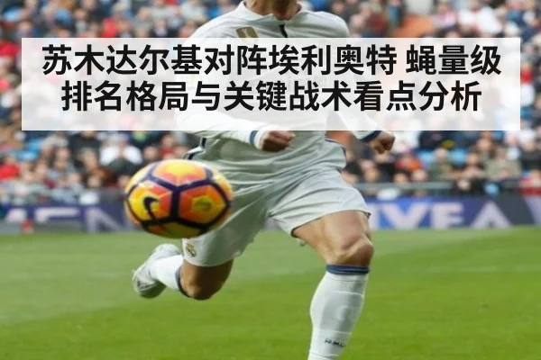 苏木达尔基对阵埃利奥特 蝇量级排名格局与关键战术看点分析