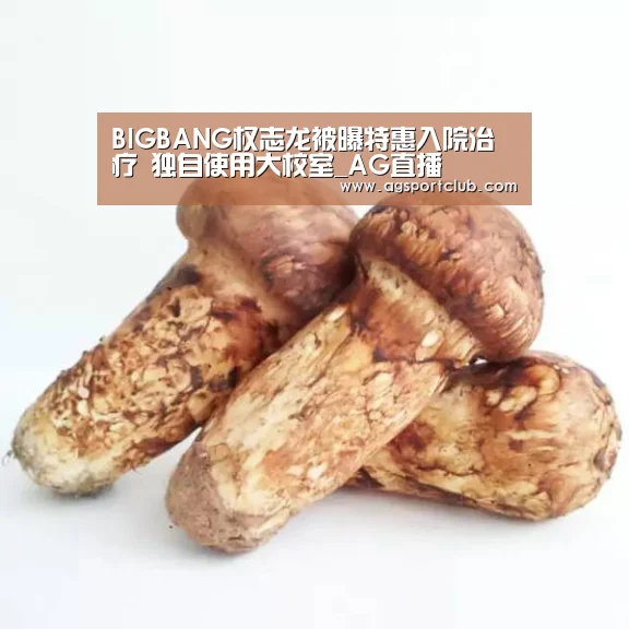 AG视讯